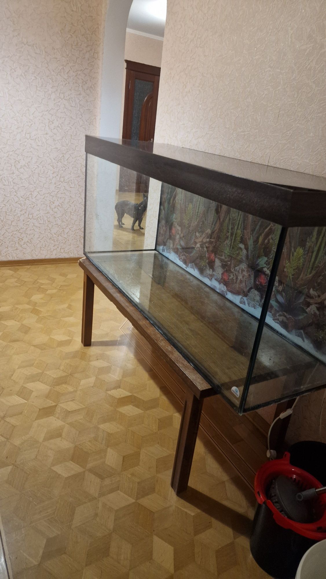 Продам аквариум 450 литров