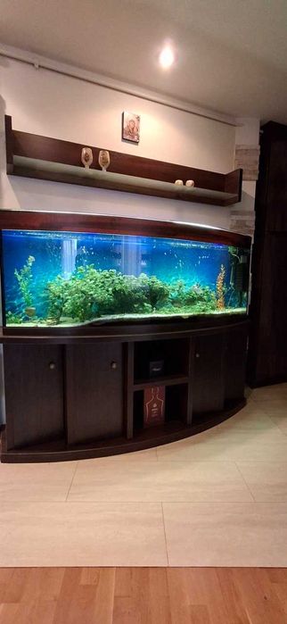 Акваріум панорамний 500 л з тумбою