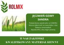 Materiał siewny kwalifikowany jęczmień ozimy SANDRA