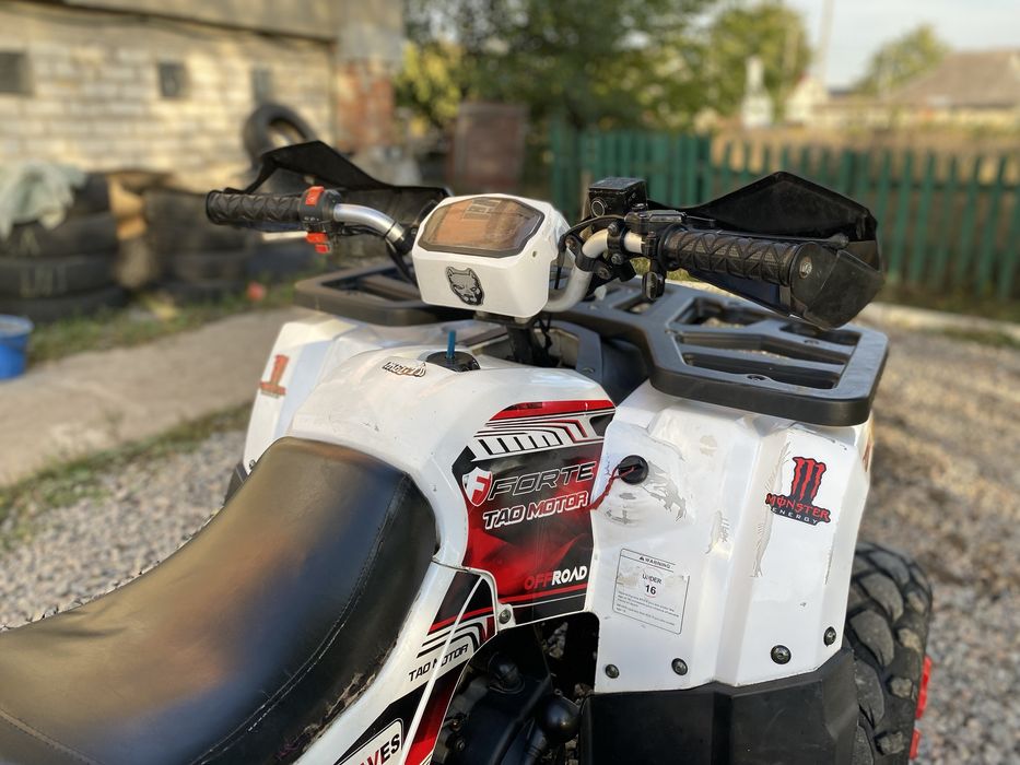 Продам квадроцикл Forte Braves 200