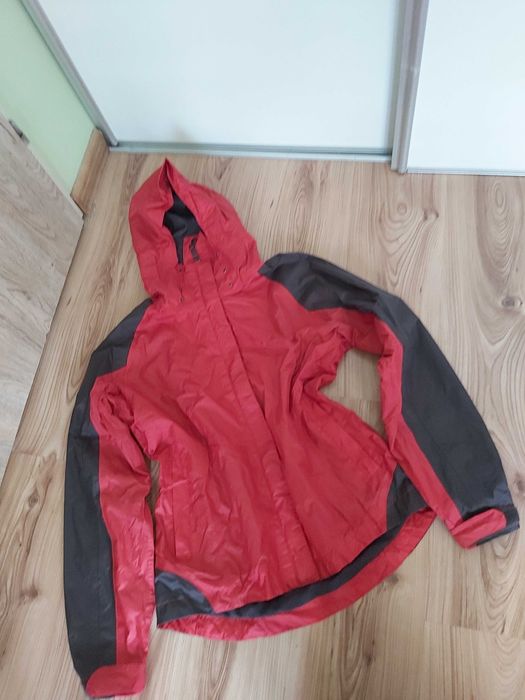 Wiatrówka kurteczka