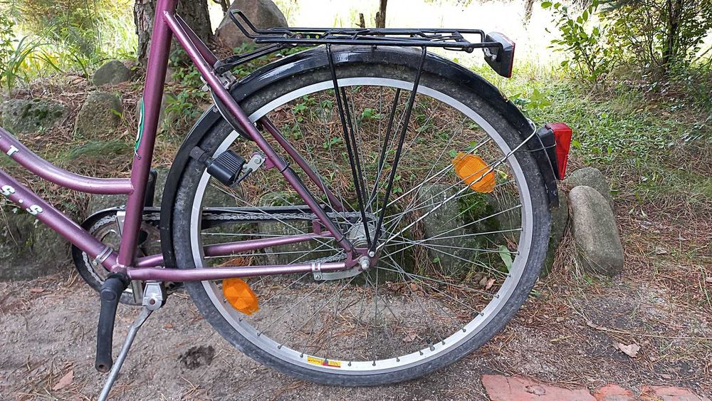 Rower Miejski Damski Express Hirty Eight 3 biegi Torpedo Damka 28