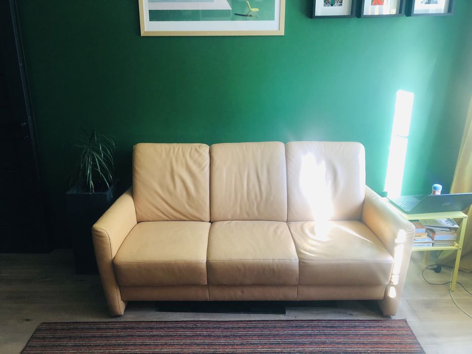 Шкіряний диван нерозкладний