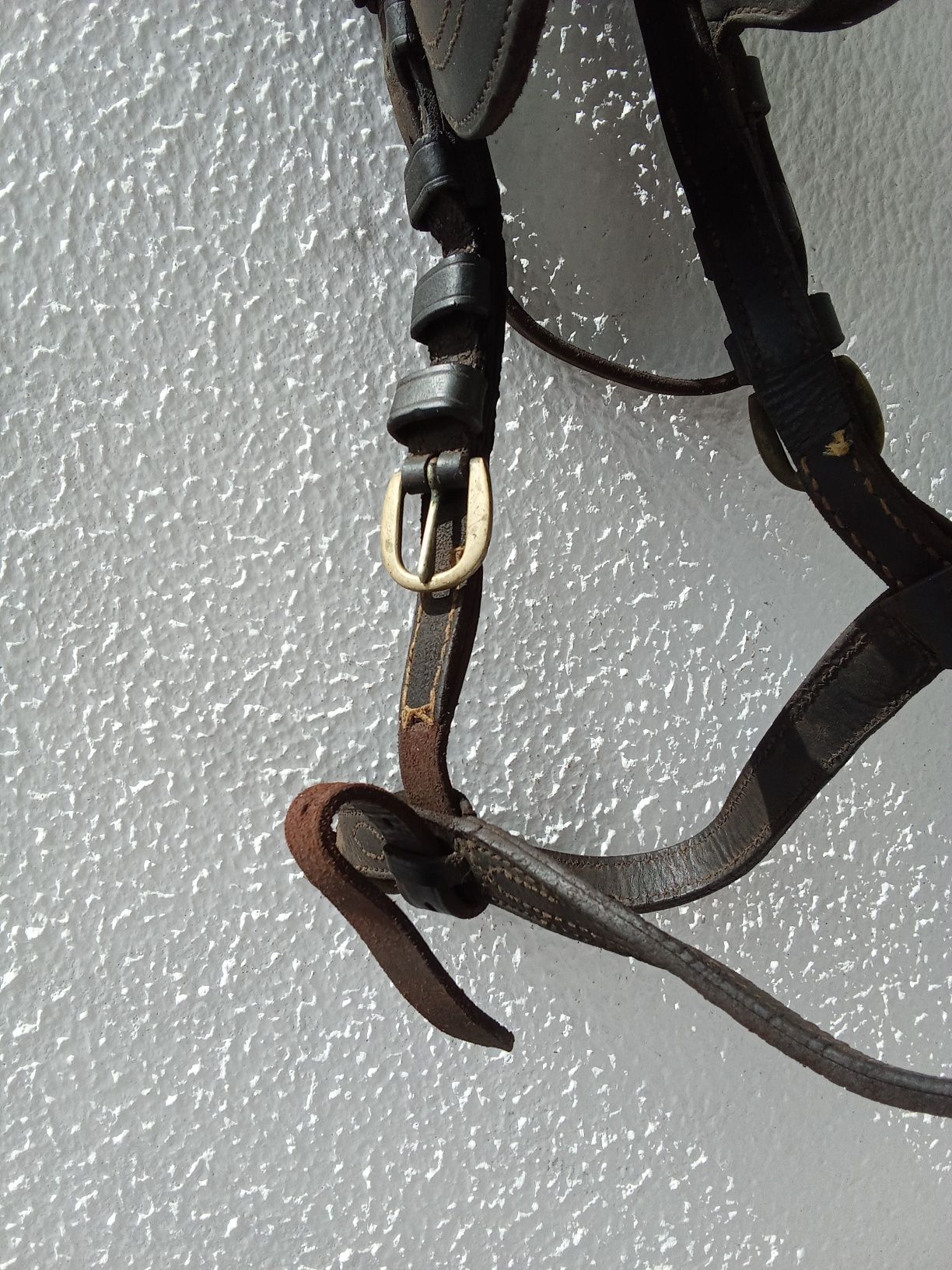 Vendo este material equestre