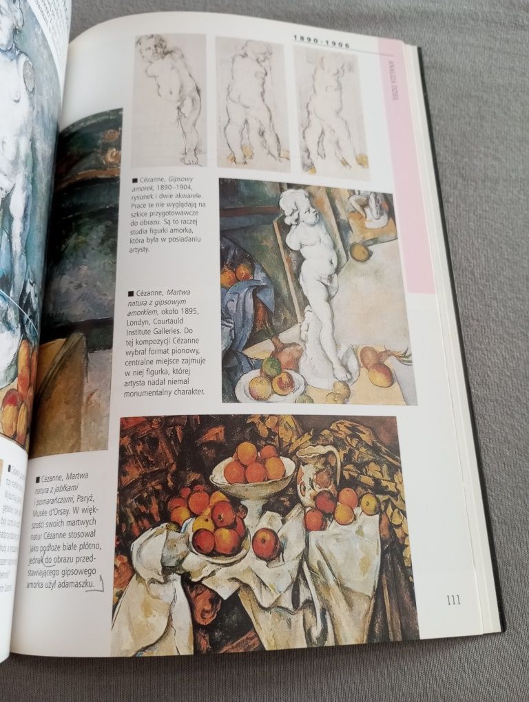 Cézanne Rzeczpospolita
