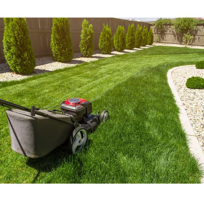 Trawa Samozagęszczająca Uniwersalna Barenbrug Rpr Lawn 5 kg
