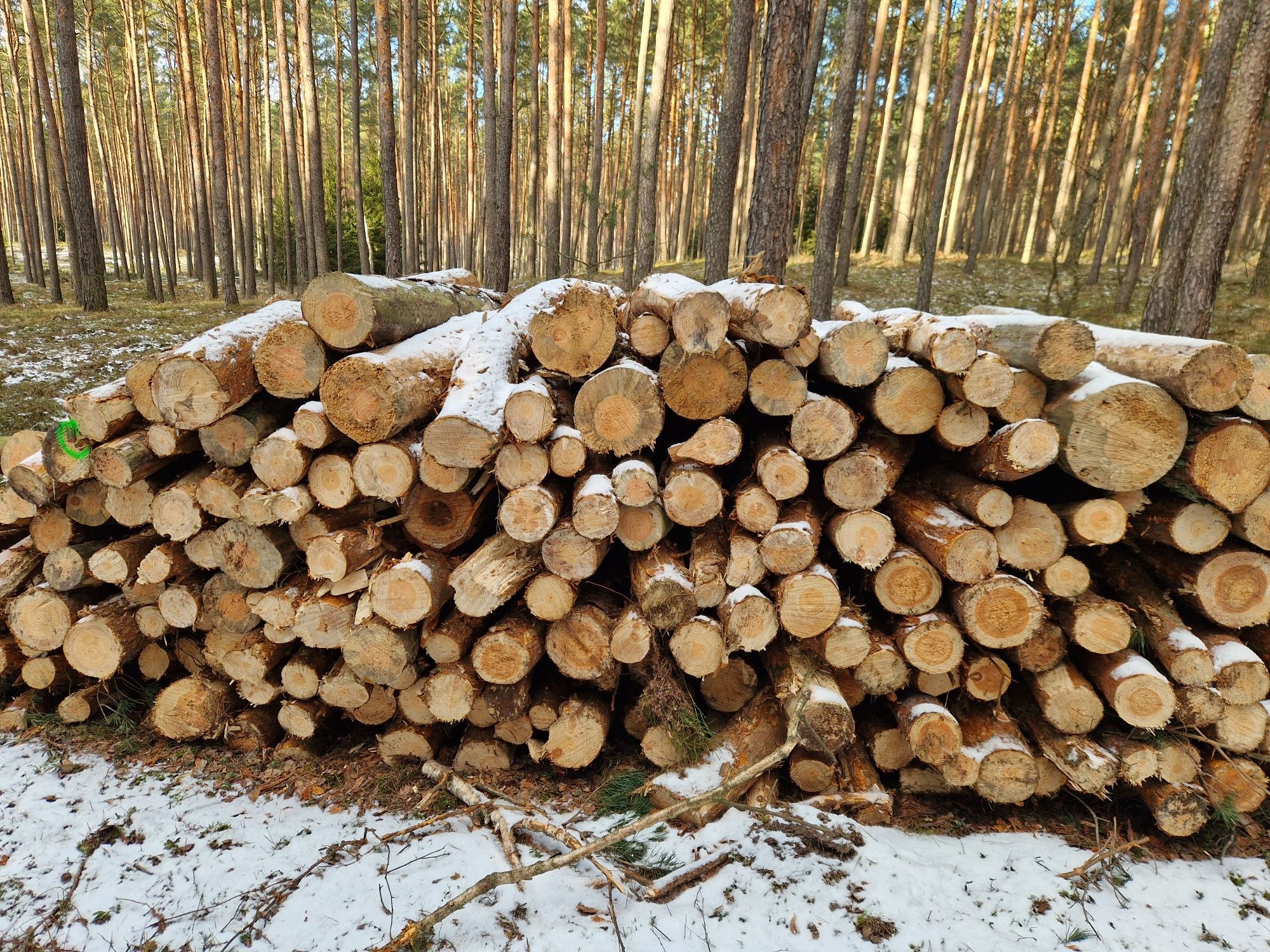 Drewno opałowe i kominkowe