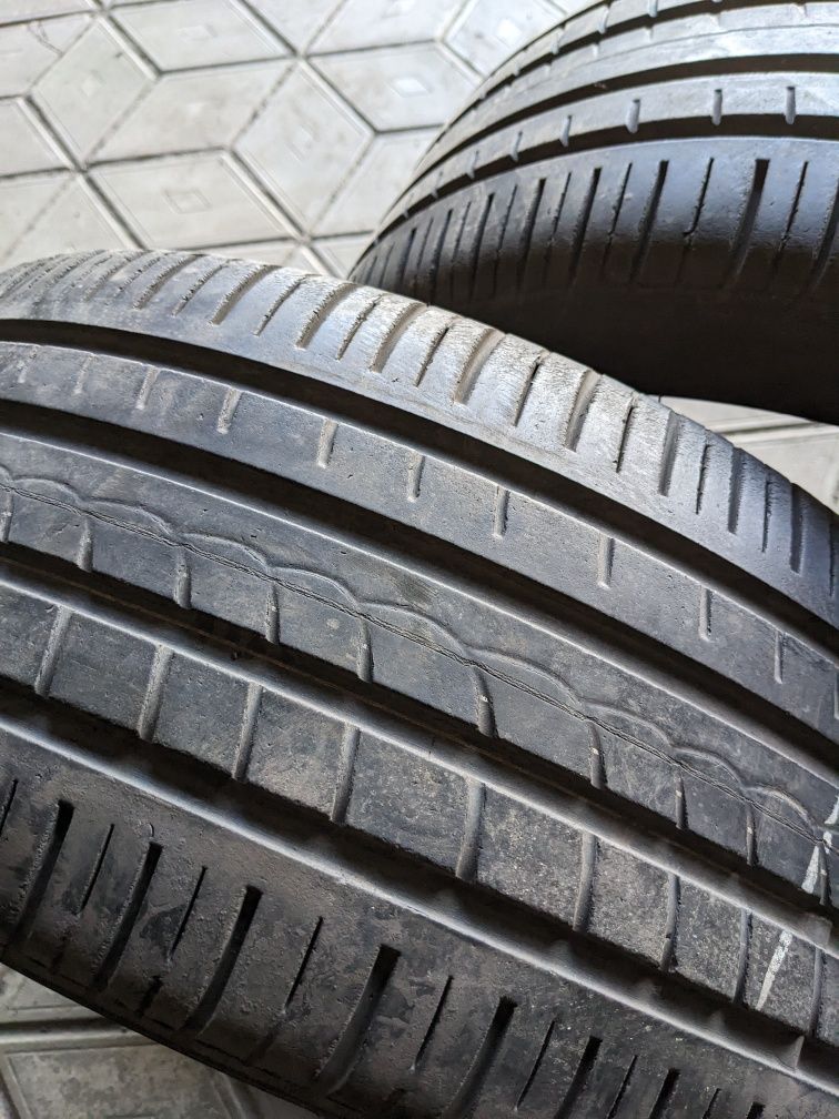 225/45R17 Pirelli літо