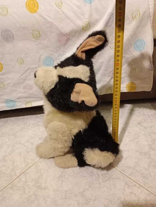 Husky peluche cão