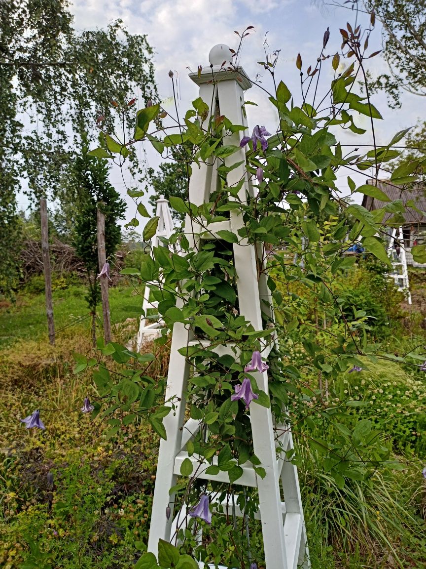 Obelisk ogrodowy