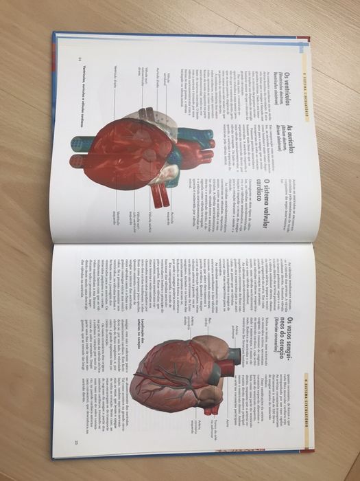 Livro sobre Corpo Humano