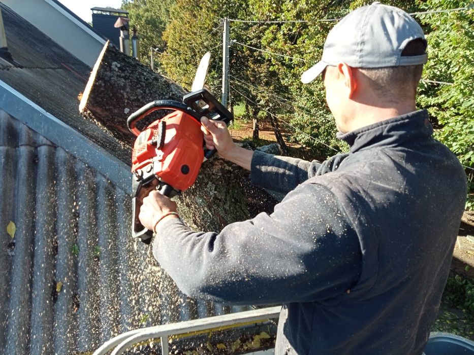 Расчистка участка. Покос трави. Спил, обрезка деревьев. Корчевка пней.