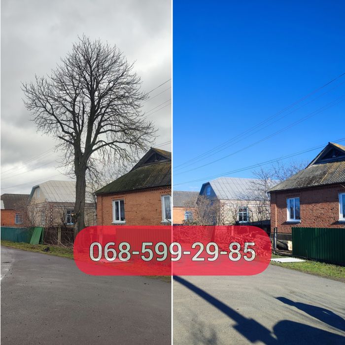 Зрізання, спил, срезка дерев; очистка території; косіння трави, тощо