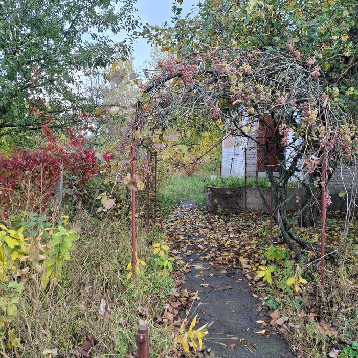 Будинок з великою територією