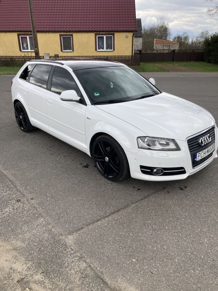 Audi A3 8P LIFT 2.0 TDI