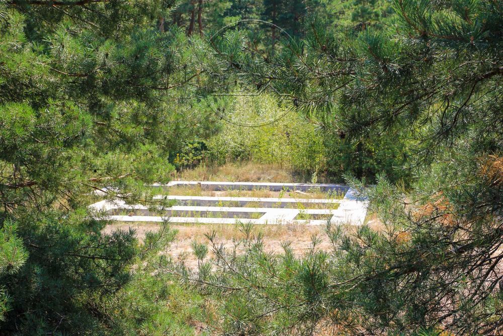 Продаж Ділянки 10 соток Гореничі Світло Ліс