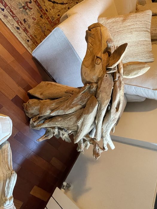 Cabeca se Cavalo Maseira