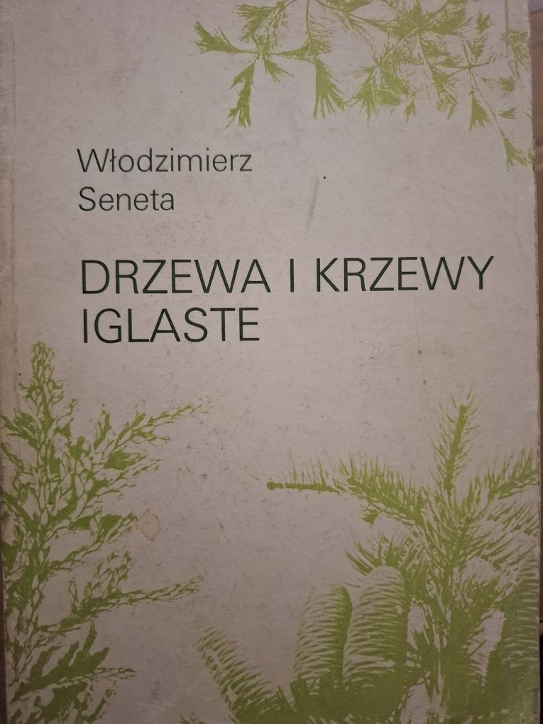 Drzewa i krzewy iglaste