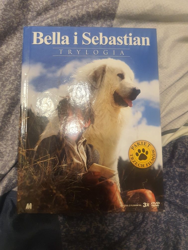 Płyty dvd filmy pl