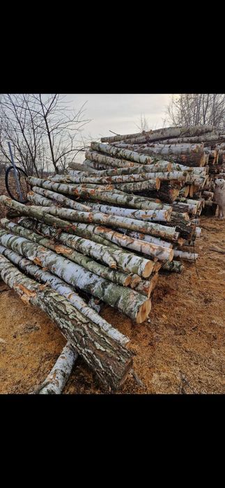 Drewno kominkowe/opałowe dostępne!