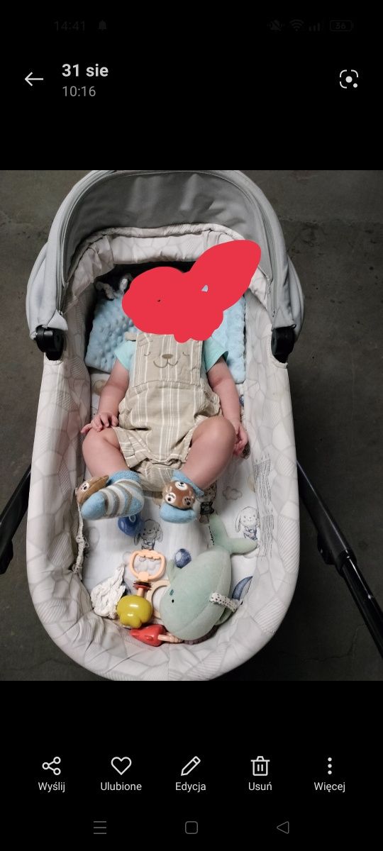 X-lander wózek niemowlęcy unisex