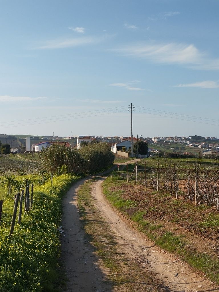 Terreno para Aluguer - Zona Previlegiada