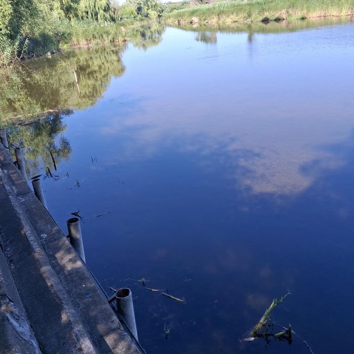 Дом-дача в Подгородном cо своим берегом и баней