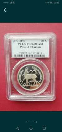 Grading 100 zł kozica pcgs