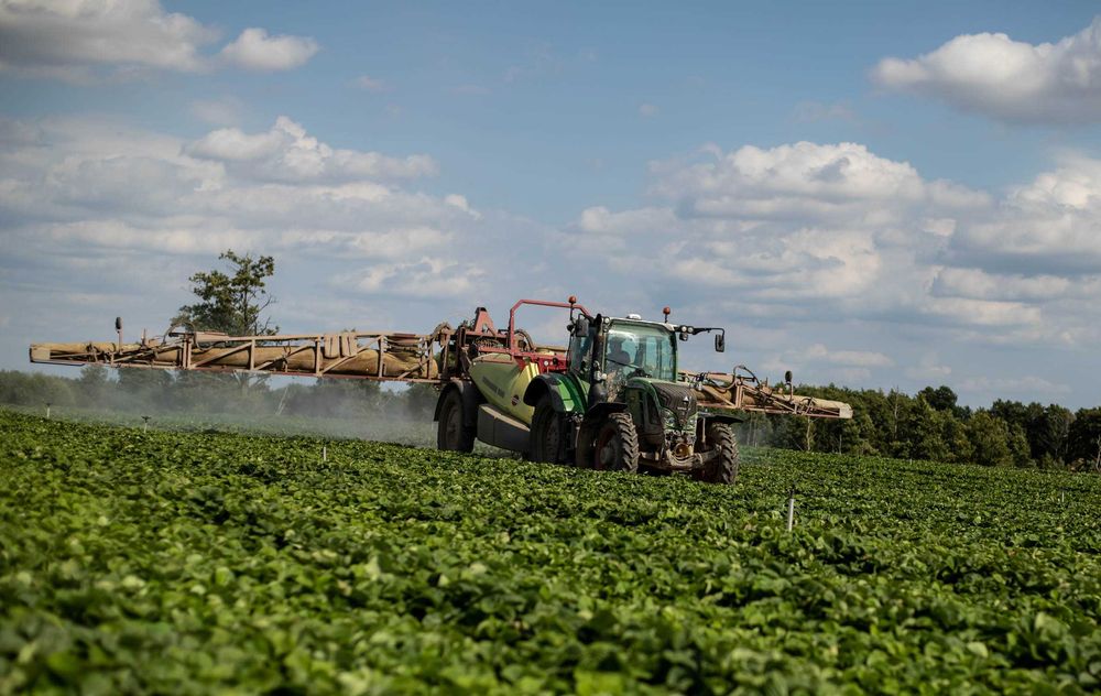 Wynajem ciągnika rolniczego Fendt/John Deere/Massey Ferguson