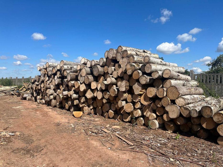 Drewno kominkowe, opałowe. Wałki