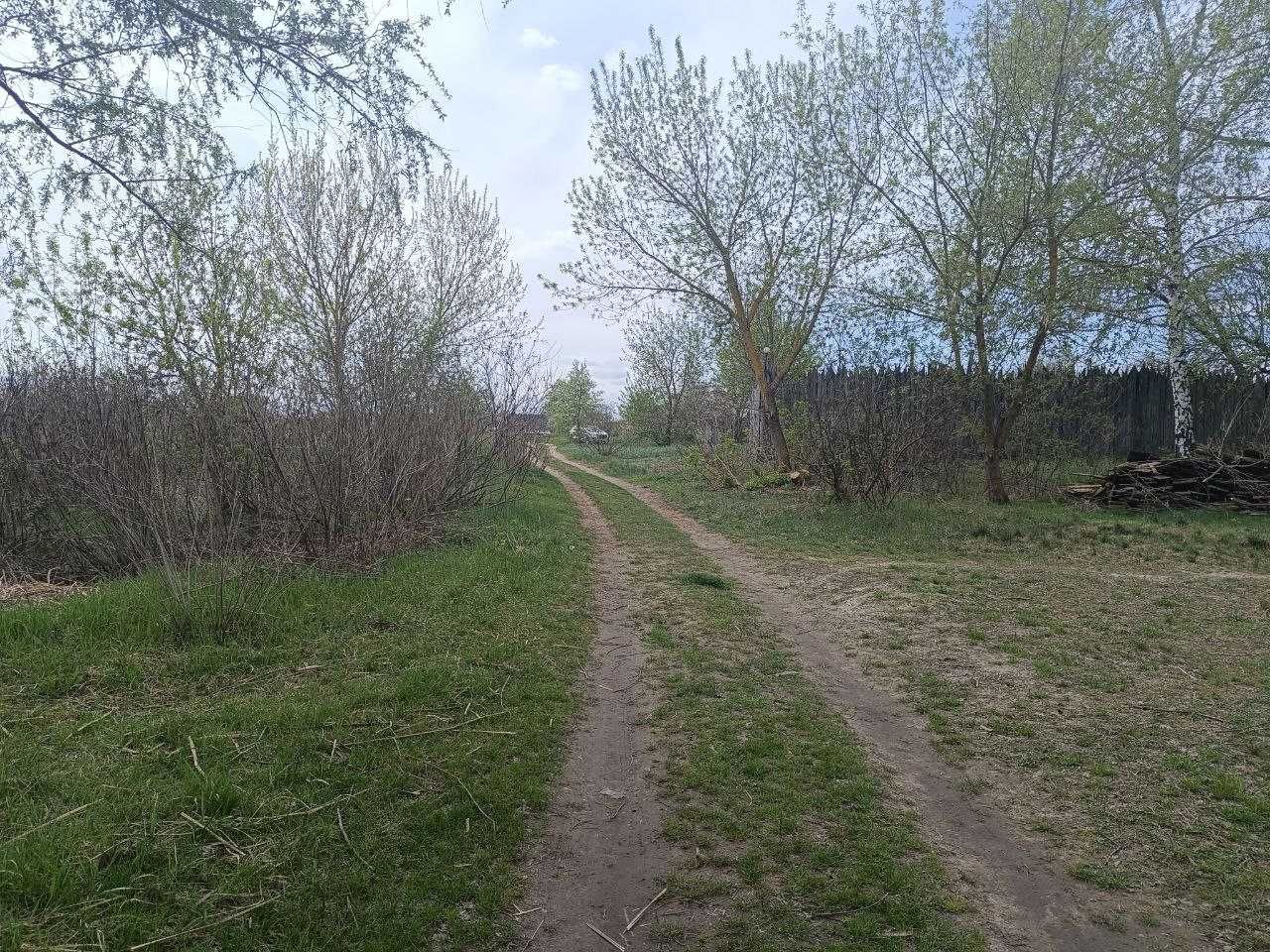 Перша лінія до води.