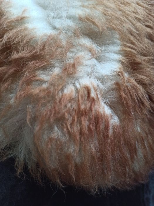 Kożuch damski - stary PRL