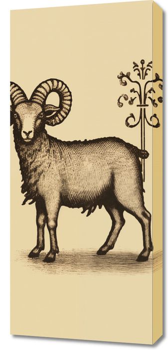 Obraz 40x90cm Natura i Heraldyka