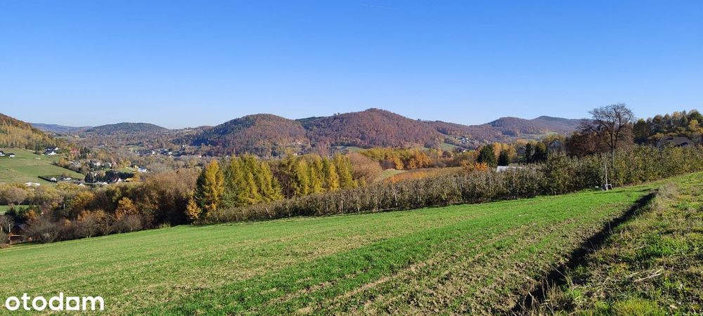 Działka budowlana 6000 za ar!