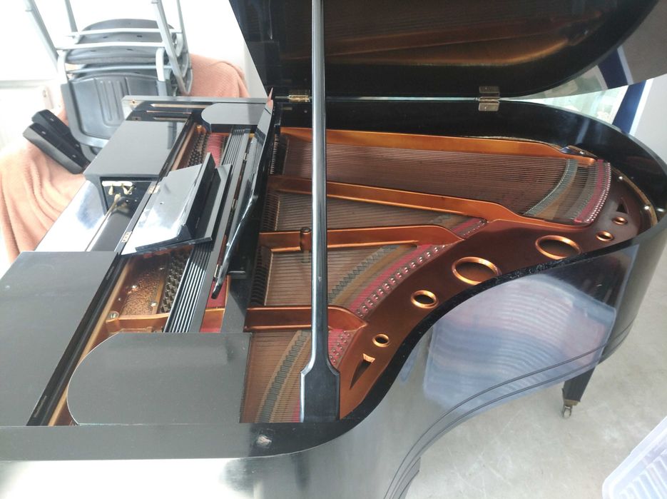 Dla Kolekcjonera Perełka Fortepian bez pianisty i działa pianola