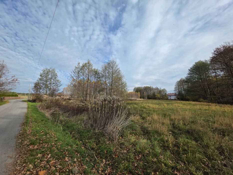 Sprzedam działkę na Wydrzu 16 ARÓW z WZ ( możliwość zakupu 40 arów )
