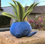 Vaso Pokémon Oddish