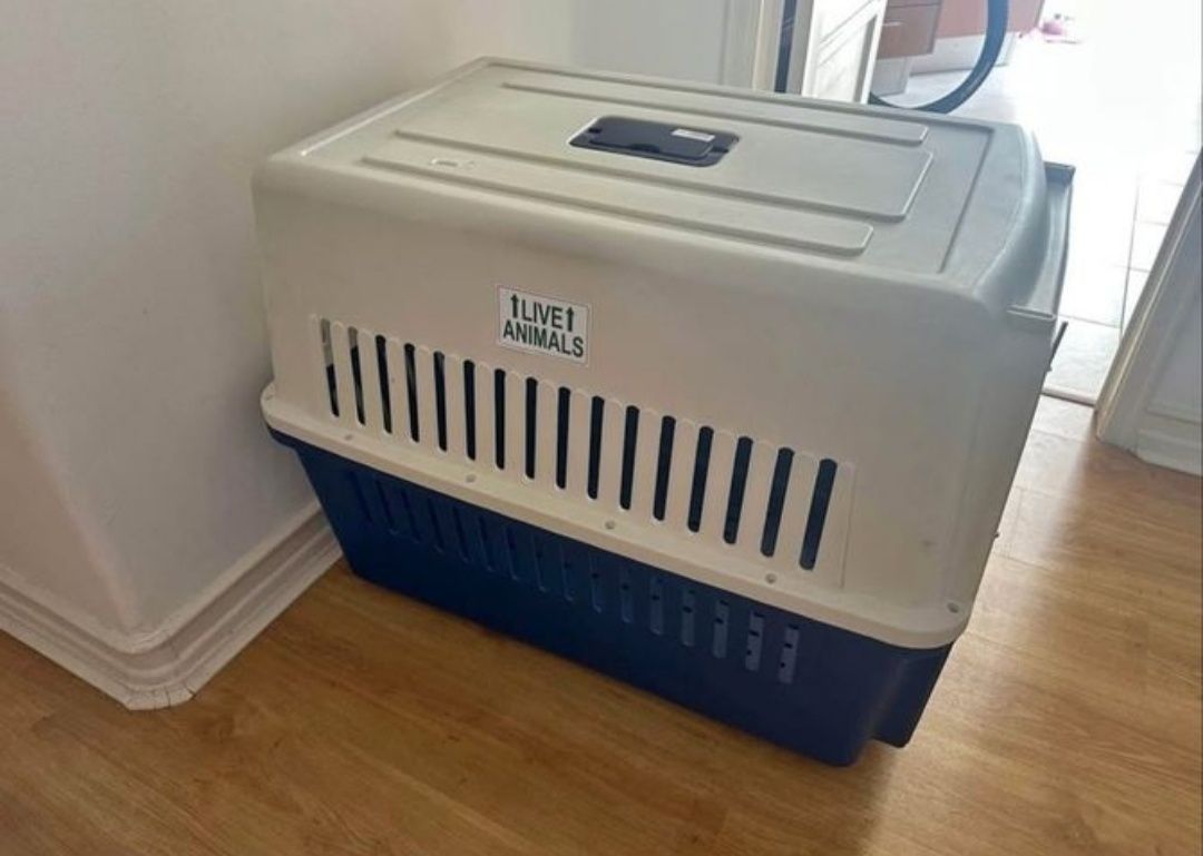 Caixa de Transporte para Cão (Negociável)