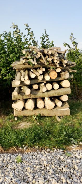 Drewno opałowe Topola