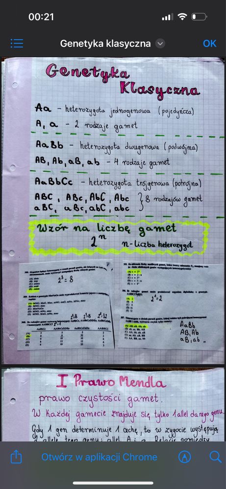 Notatki z biologii do maturalnej klasy 4