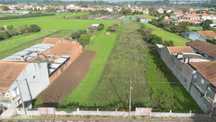 Terreno plano e murado Cantanhede/Bolho