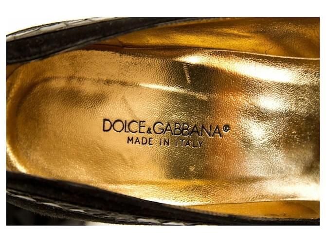 Номерні туфлі з шкіри змії Dolce&Gabbana