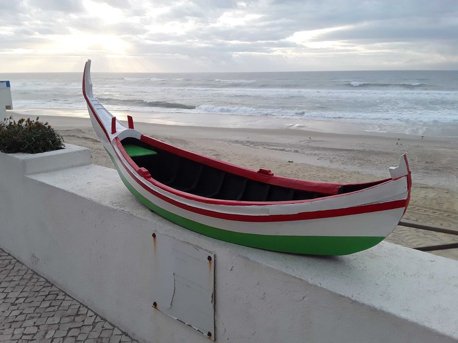 Barco de pesca artesanal ( arte xavega)