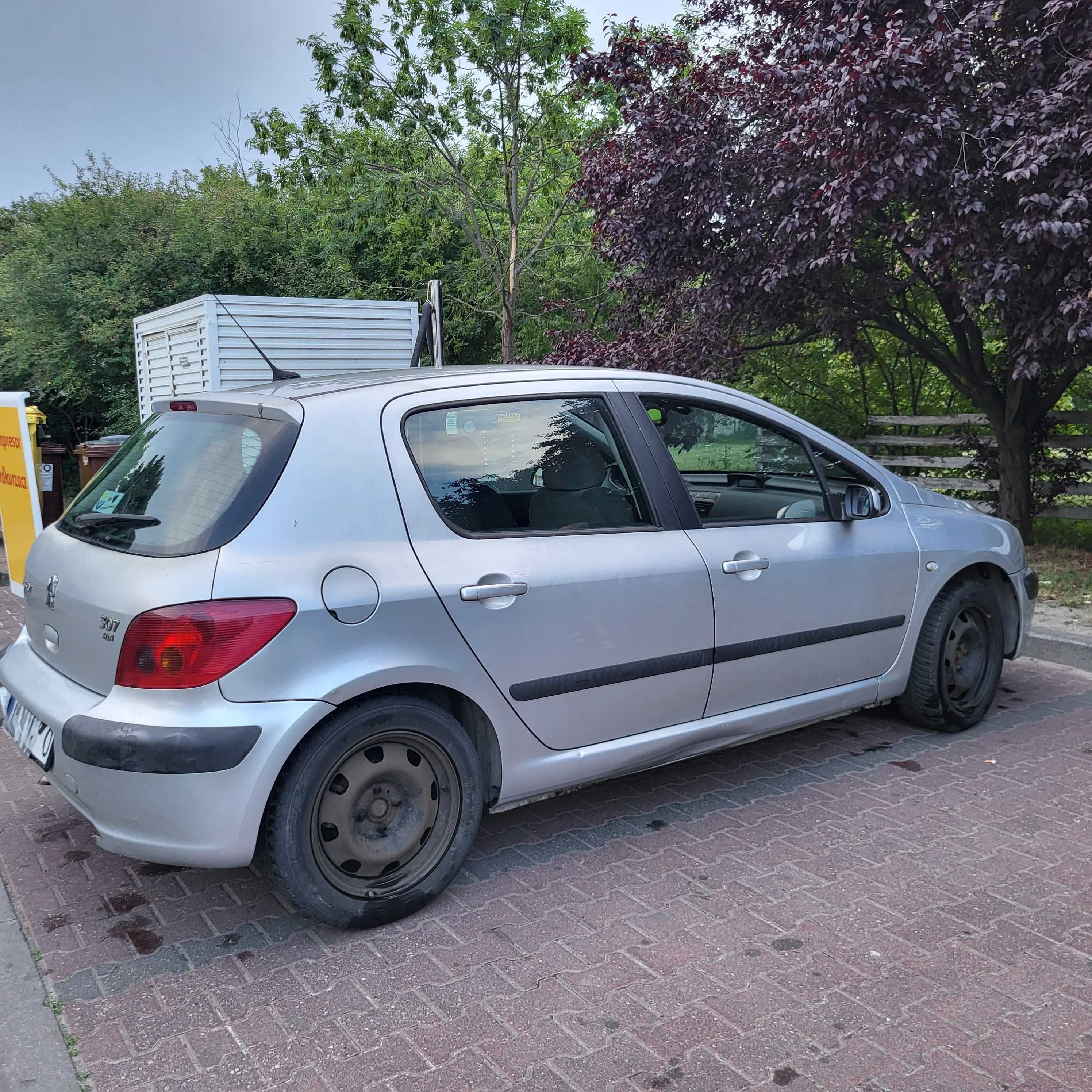 Peugeot 307, hatchback, 2003