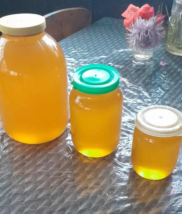 Продам мед з власної пасіки