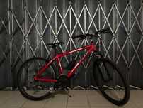 Bicicleta adulto Vag