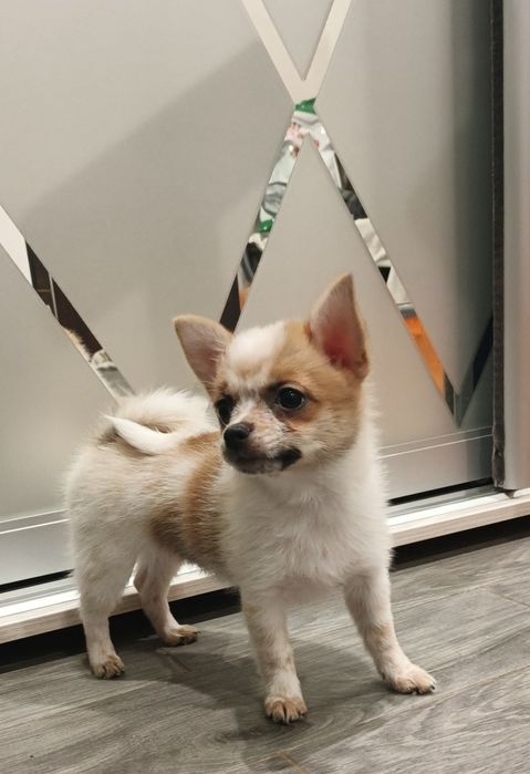 Ефектна дівчинка готова до броні