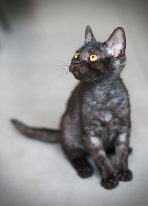 ej Człowiek- domu szukamy