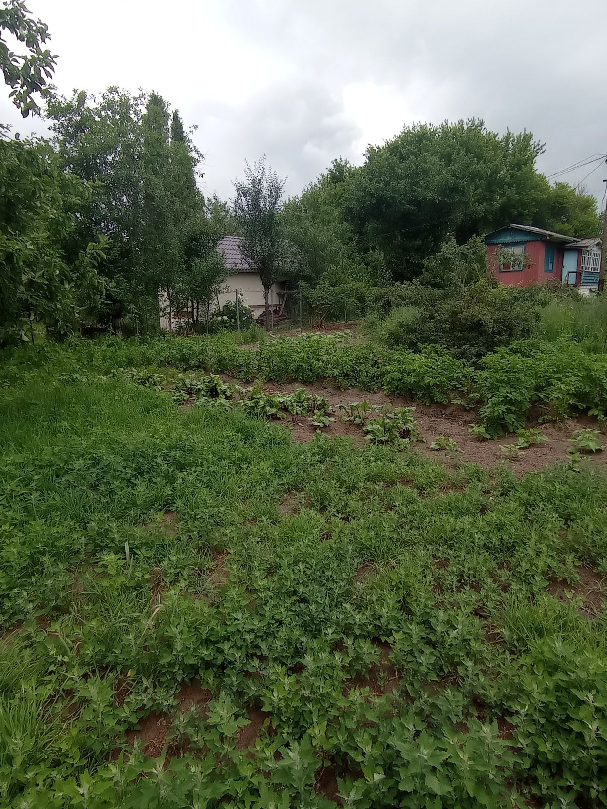 Дача у самого водоёма. Старый Белоус. 300м  остановка общ. транспорта.