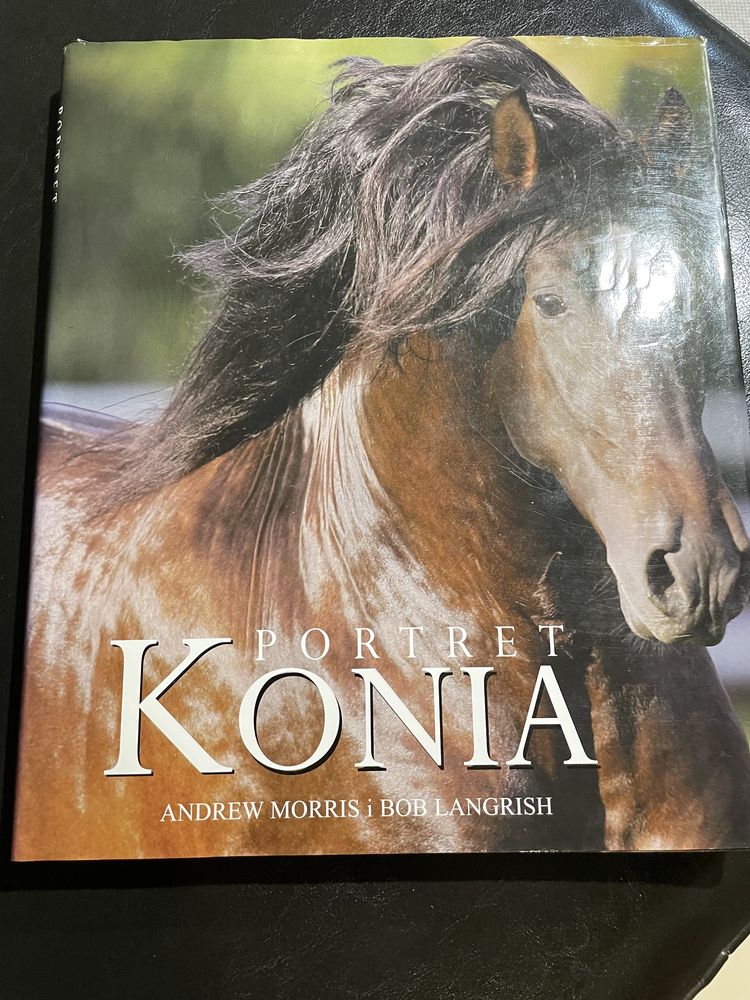 Portret konia - Andrew Morris i Bob Langrish